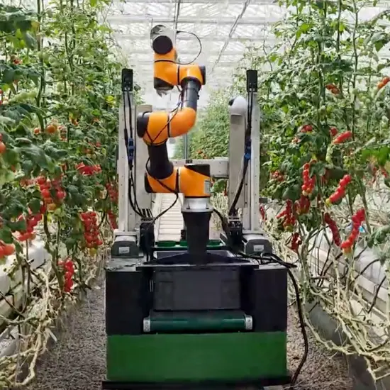 Eriksen - Commercial intelligent collaborative tomato picking robot for ...