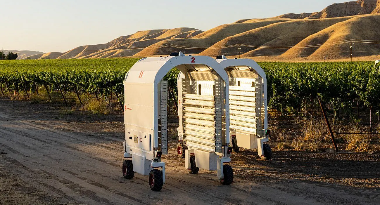 Saga-Robotics-bots-in-a-vineyard-Image-credit-Jason-Henry.jpg