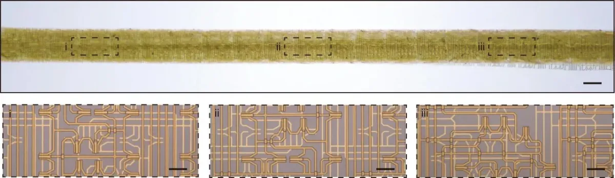 b0178adaf93429f4bbb09393adf0c304.png