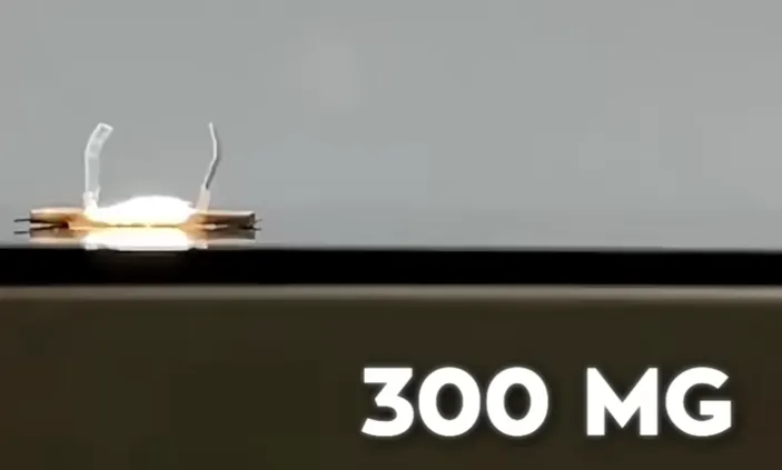 微信图片_20260309142158_145_2.png