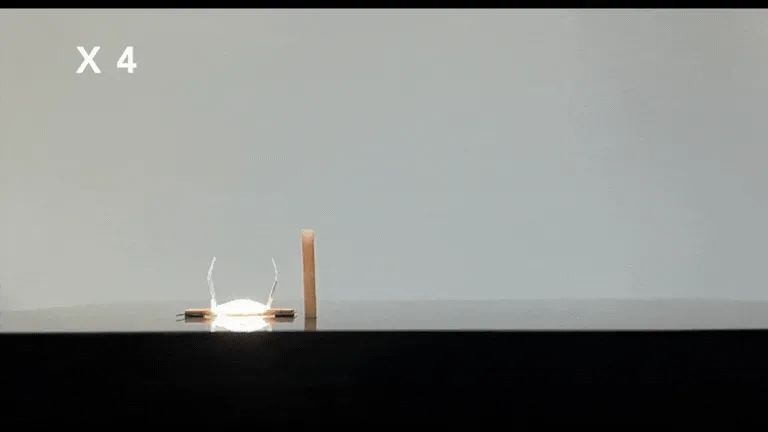 Gif option 2.gif
