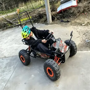 WUE-K1 Electric Go-Kart 1000W Brushless Differential All-Terrain 5-40km/h Stepless Speed Control Family Outdoor Vehicle