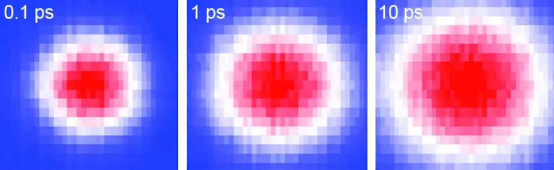 c25c9146-9ec2-4934-9729-3cfa8f71b994.png