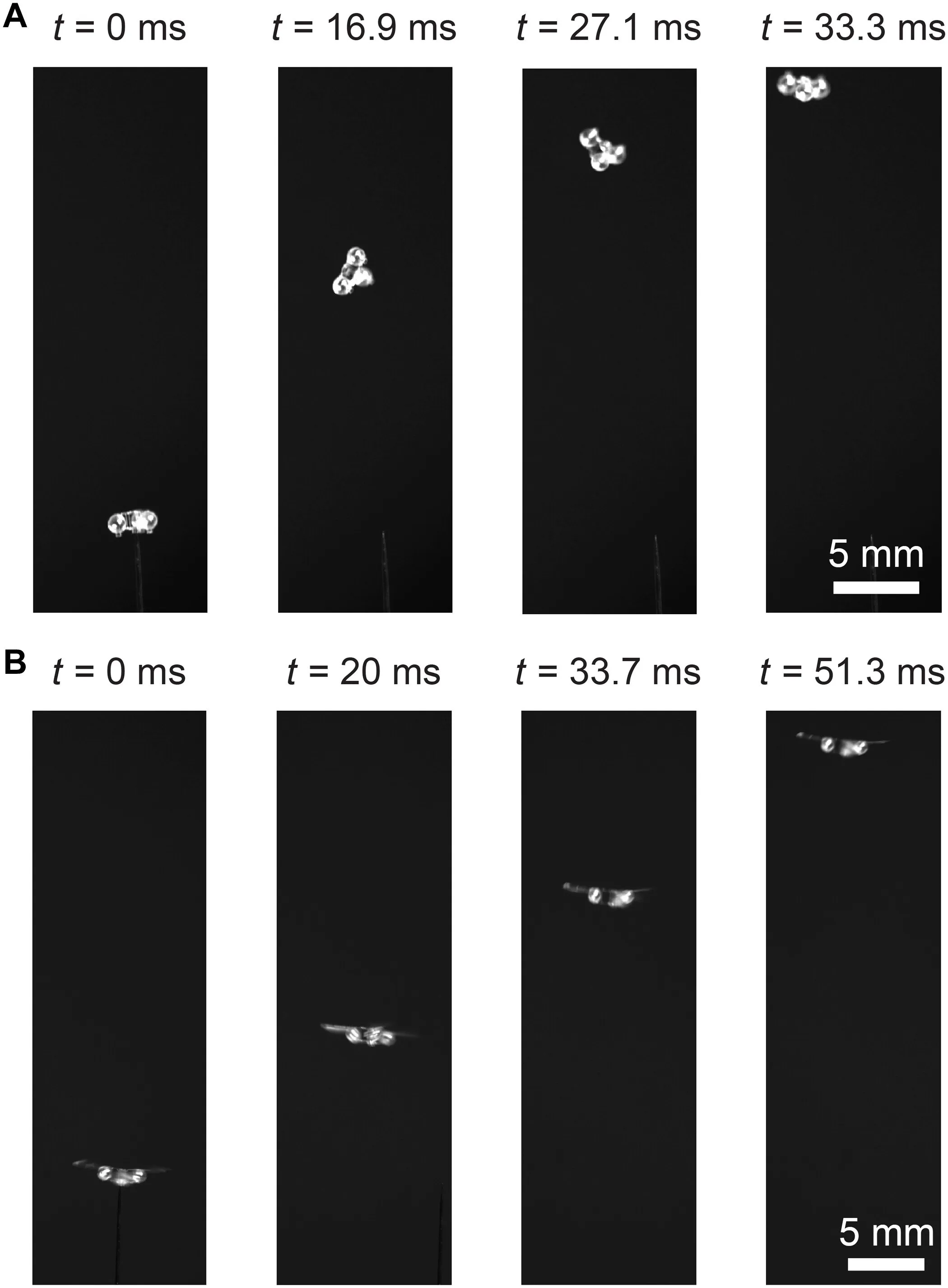 sciadv.aef5620-f8.jpg