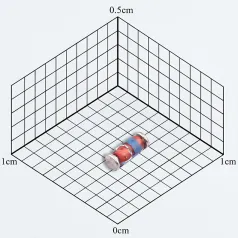 ZMM9V1