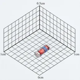 ZMM9V1