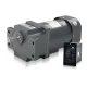 Wanxin Precision Variable-Speed ​​Motor (6W–250W): 220V AC Gear-Reduction Motor with Pure Copper Winding