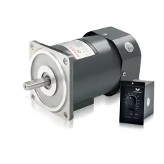 Wanxin Precision Variable-Speed ​​Motor (6W–250W): 220V AC Gear-Reduction Motor with Pure Copper Winding