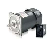 Wanxin Precision Variable-Speed ​​Motor (6W–250W): 220V AC Gear-Reduction Motor with Pure Copper Winding