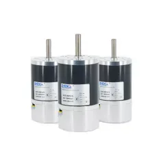 BLDC-60S Brushless DC Motor (Built-in Constant-Speed ​​Control)