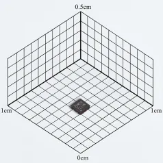 ZD25WD20CNIGR