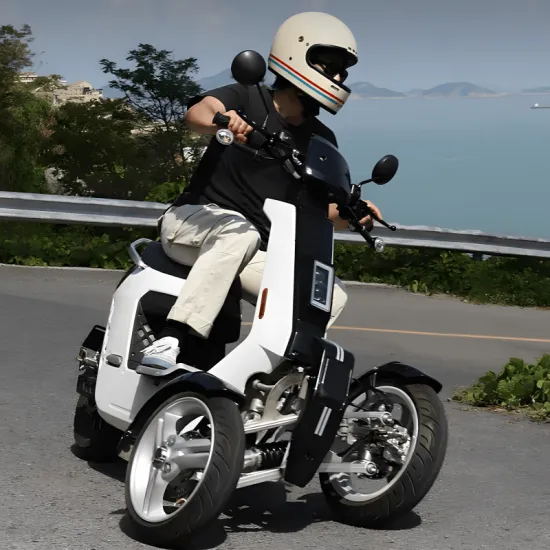 ERR-2 3000W High Performance Electric Tilting Trike 72V Lithium Battery Long Range Outdoor Three Wheel Vehicle
