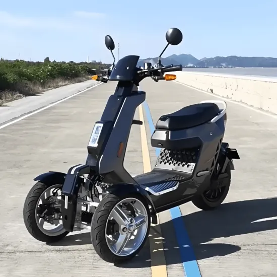 ERR-2 3000W High Performance Electric Tilting Trike 72V Lithium Battery Long Range Outdoor Three Wheel Vehicle