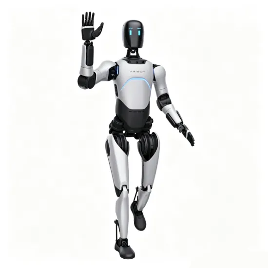 AGIBOT Robot/AgiBot Expedition A2 Flagship Edition full-size humanoid robot custom interaction