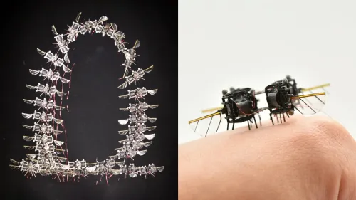MIT AI-Powered Flying Robot Achieves Insect-Like Agility With 10 Midair Flips