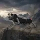 Jueying X30 Industrial-Grade Robot Dog (Quadruped Robot) – Power Grid Inspection & Firefighting Applications