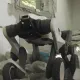 Lynx S10 Series quadruped robot (robodog) featuring a hybrid wheel-leg locomotion structure and industrial-grade