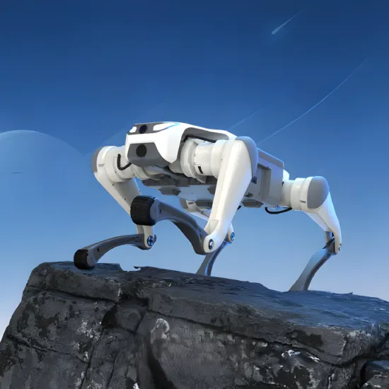 Jueying Lite3 Explorer Edition: An intelligent quadrupedal biomimetic robot designed for STEM education, companionship