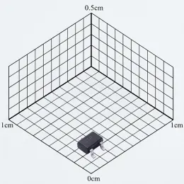 WNM2021