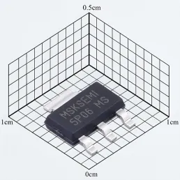 5P06-MS