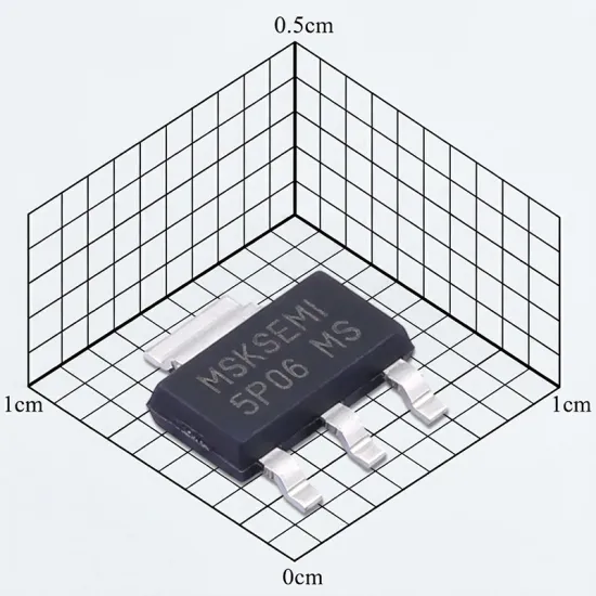 5P06-MS