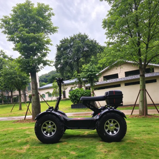 ESS-W2 All-Terrain Electric Adventure Vehicle | 8000W Quad-Motor, 100 km Range