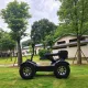 ESS-W2 All-Terrain Electric Adventure Vehicle | 8000W Quad-Motor, 100 km Range