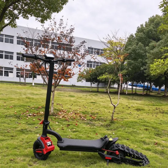 ESS-T3 3-in-1 Electric Adventure Vehicle | Road, Trail & Snow