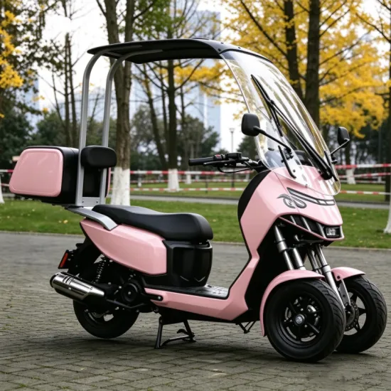 ERR-4 Electric Trike: Roofed Three-Wheeled Outdoor Adventure