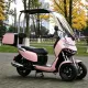 ERR-4 Electric Trike: Roofed Three-Wheeled Outdoor Adventure