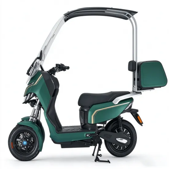 ERR-4 Electric Trike: Roofed Three-Wheeled Outdoor Adventure