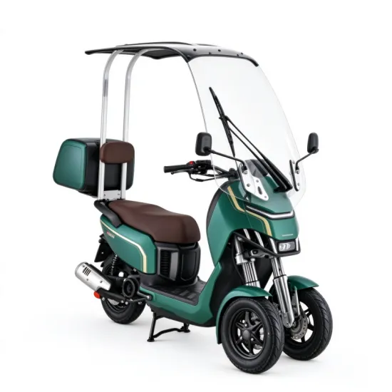 ERR-4 Electric Trike: Roofed Three-Wheeled Outdoor Adventure