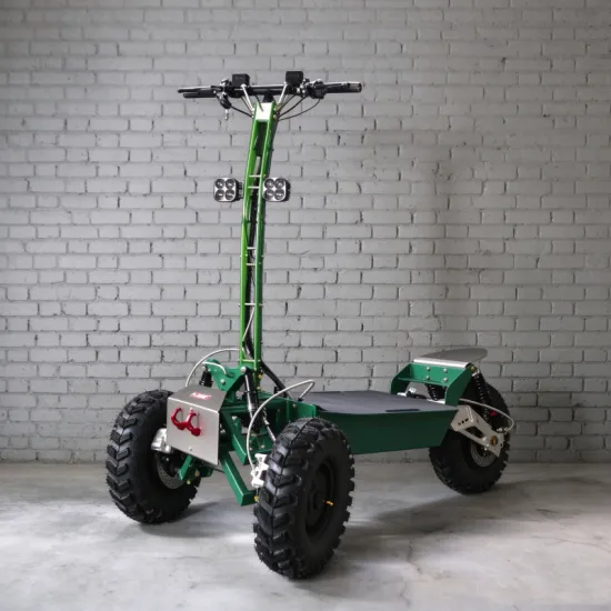 ESS-W3 2000W Reverse Trike Scooter | All-Terrain Electric Adventure