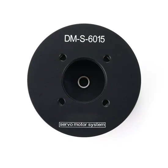 DM-S-6015 Brushless DC Servo Motor with High-Response Closed-Loop FOC Control – Industrial Automation Turntable/Gimbal