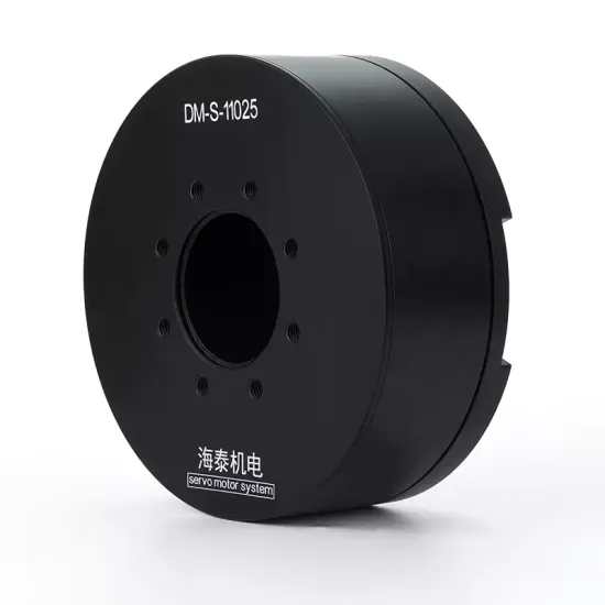 DM-S-11025 High-Torque, Silent, FOC-Driven BLDC (Brushless DC) Servo Motor for Automated Rotary Turntables and Smart Pan