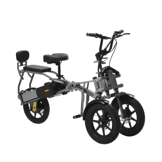 FER-1A Electric Trike | 500W Dual Battery