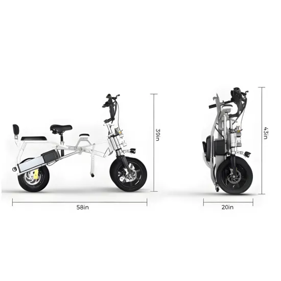 FER-1 Folding Electric Trike | 500W Dual Battery