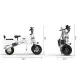 FER-1 Folding Electric Trike | 500W Dual Battery
