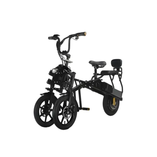 FER-1 Folding Electric Trike | 500W Dual Battery