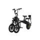 FER-1 Folding Electric Trike | 500W Dual Battery