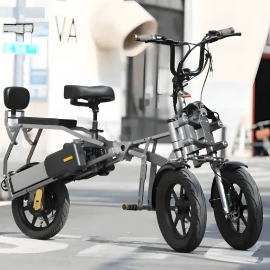 FER-1A Electric Trike | 500W Dual Battery