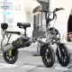 FER-1A Electric Trike | 500W Dual Battery