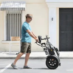 FER-1A Electric Trike | 500W Dual Battery