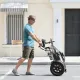 FER-1A Electric Trike | 500W Dual Battery