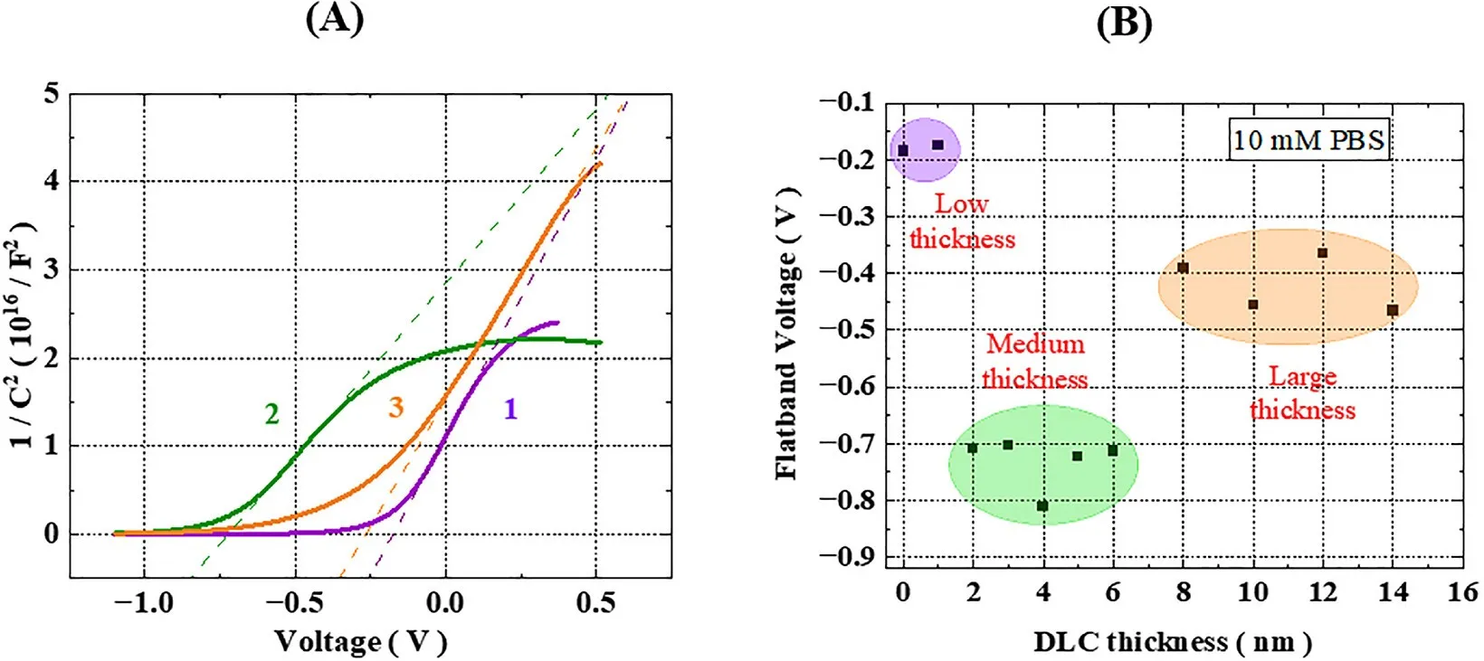 adsr70218-fig-0003-m.jpg