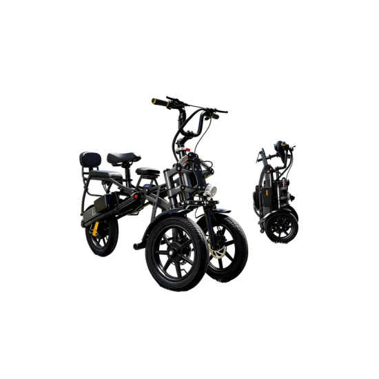 FER-1 Folding Electric Trike | 500W Dual Battery