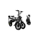 FER-1 Folding Electric Trike | 500W Dual Battery