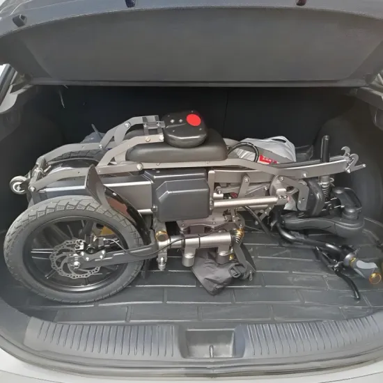 FER-1 Folding Electric Trike | 500W Dual Battery