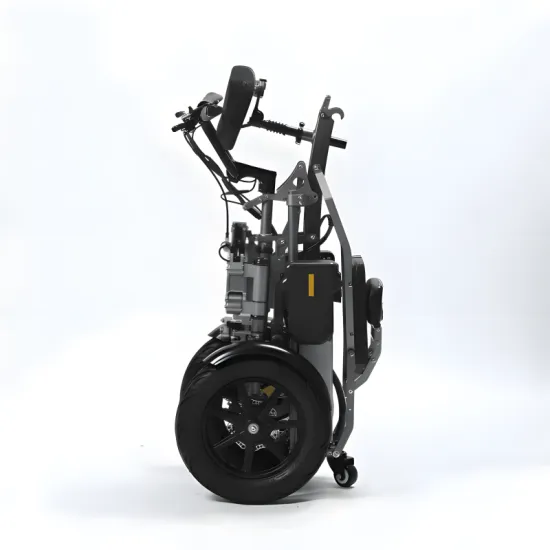 FER-1A Electric Trike | 500W Dual Battery