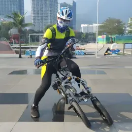 FER-1 Folding Electric Trike | 500W Dual Battery